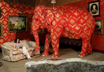 The Elephants in the Room