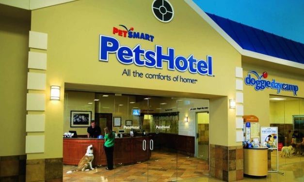 Pet Smart Is Better at Marketing Than Assisted Living