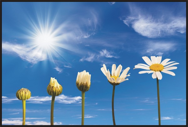 “Pay Per Move-in” Could Be Worth It