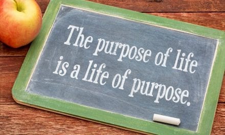 The Purposeless Life