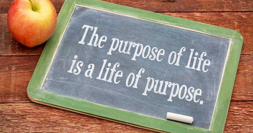 The Purposeless Life