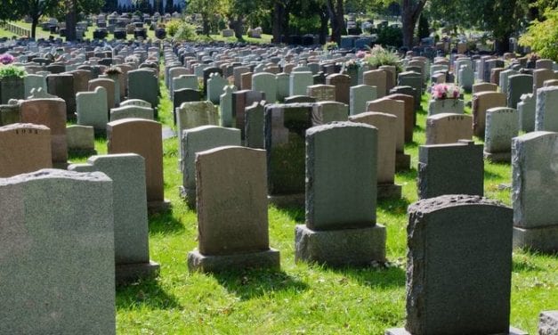 American Death Rate on the Rise  . . . and more