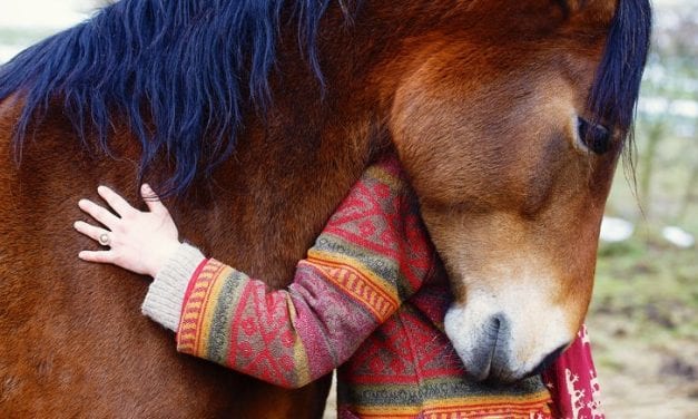 Innovative Dementia Research by UC Davis and the Connected Horse Begins