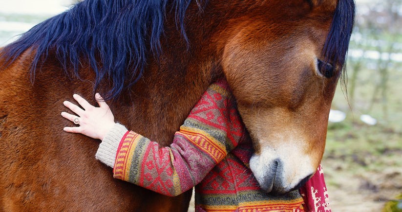 Innovative Dementia Research by UC Davis and the Connected Horse Begins