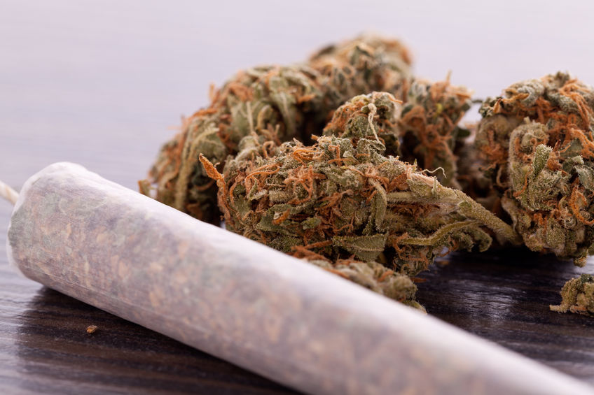 Is Weed the Solution to Our Nursing Home Quality Problem?