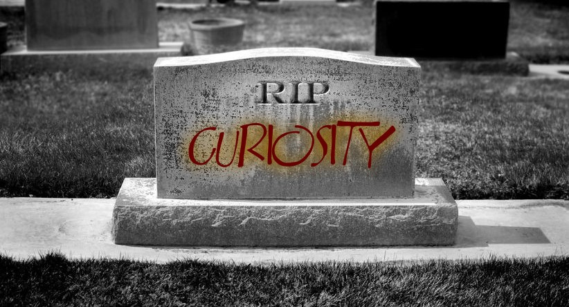 Are You Killing Curiosity In Your Organization?