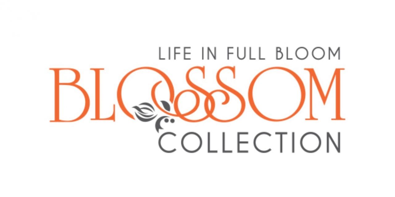 Who the Heck is Blossom Collection?