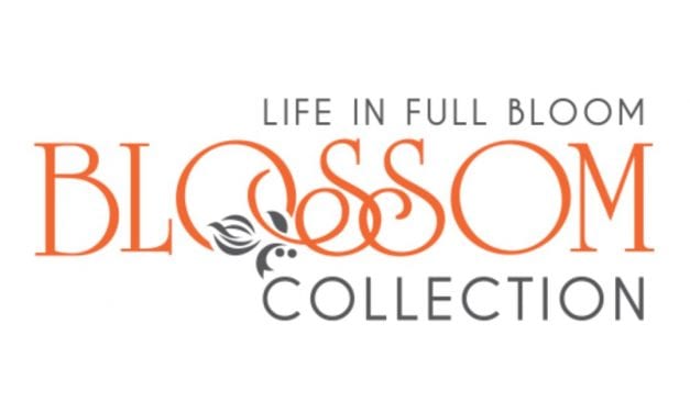 Who the Heck is Blossom Collection?