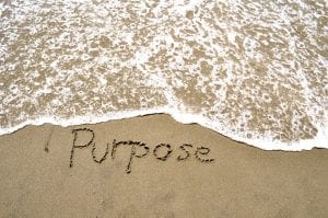 purpose