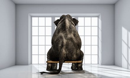 Senior Living’s Super Ugly Elephant in the Room