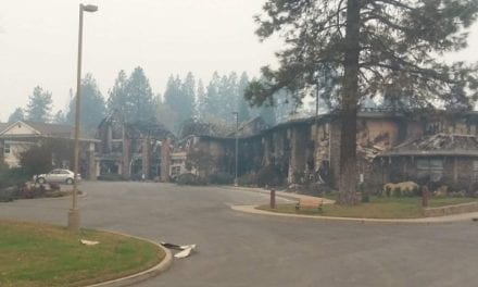 The Single Most Important Paradise Fire Story You Will Ever Read–Only Here