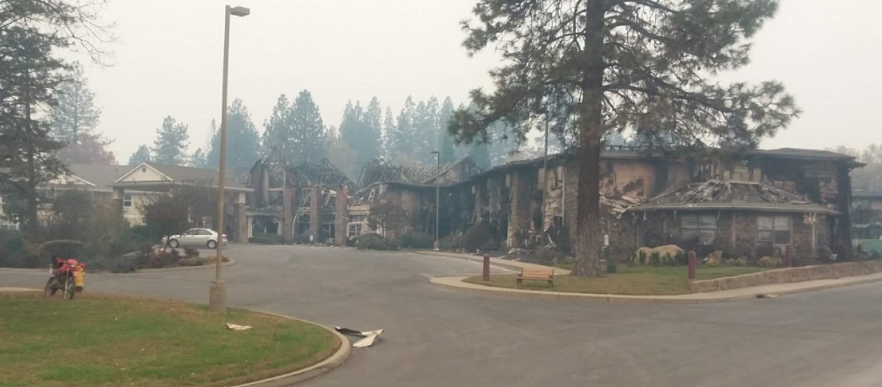 The Single Most Important Paradise Fire Story You Will Ever Read–Only Here