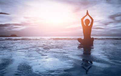 S2 Episode 2 – Consumers Want Wellness-Based Communities with Care, Not Care-based Communities with Wellness. Are You Making the Shift?