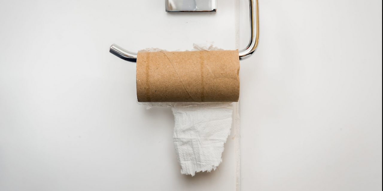 The Great Toilet Paper Battle