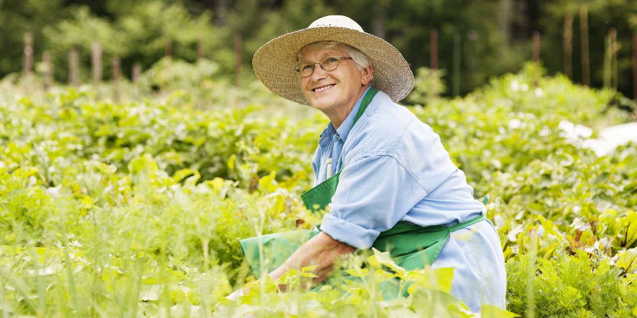 Regenerate Rather Than Retire in Senior Living with a Farm in the Front Yard