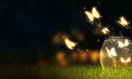 How a Jar of Fireflies Can Increase Your Occupancy