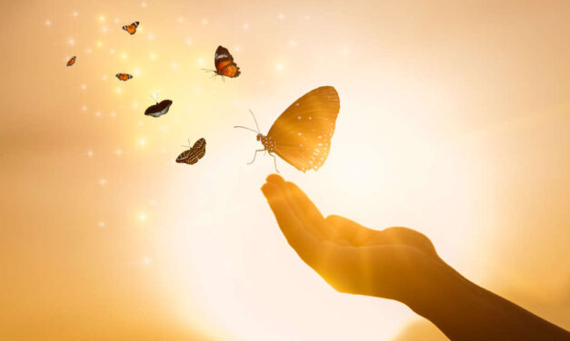 Breaking the Chrysalis