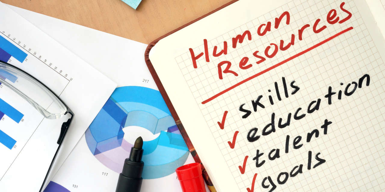 Minimum Qualifications