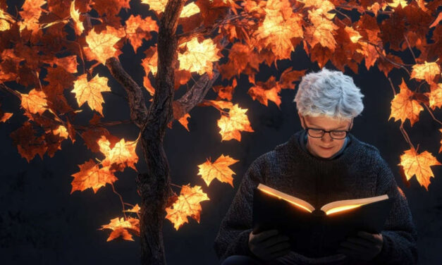 The Fantasy Continues