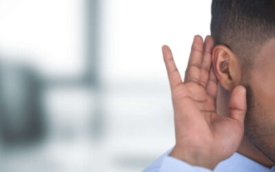 Heard In The Halls — The Series That Listens