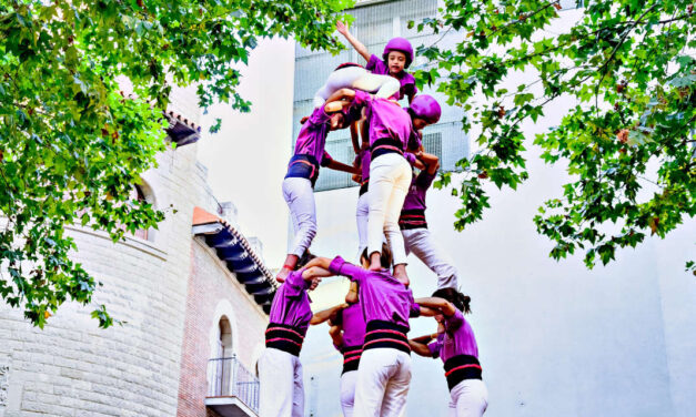 This Is Insane. Or Is It?