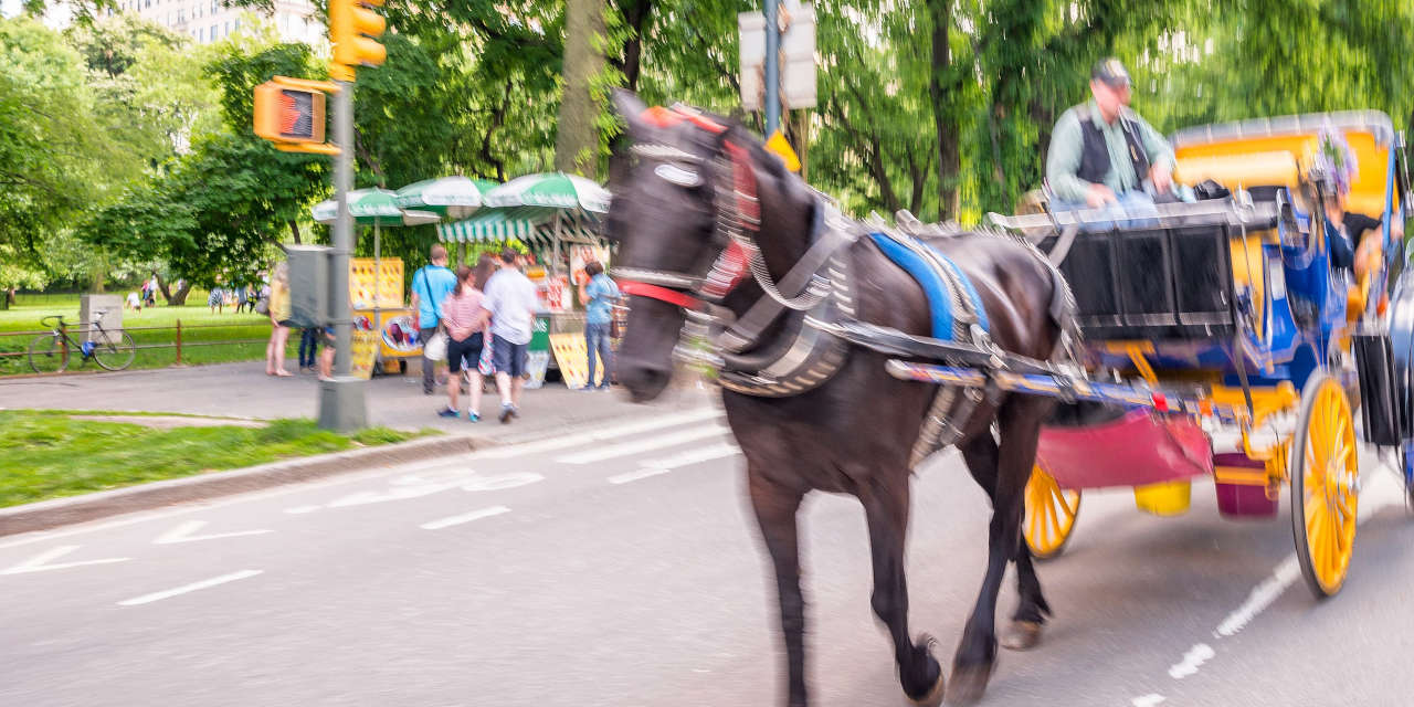 The Shocking Carriage Driver Story